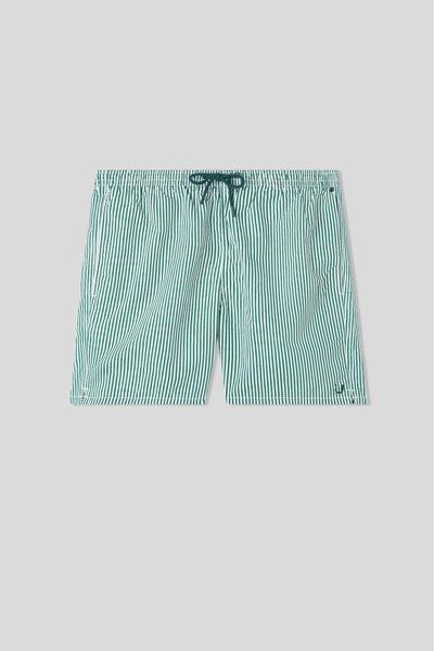 Green - 630J - Stampa Riga Bianco Verde Scuro Green Striped Swim Trunks, , large image number 2