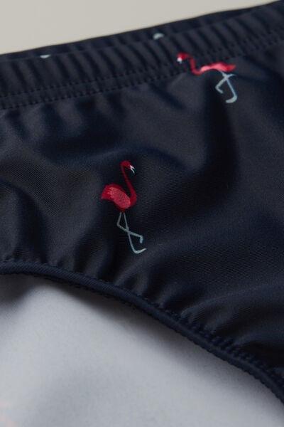 Navy Swim Flamingo Print Briefs, , large image number 4