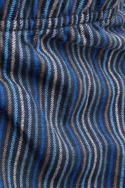 Blue Striped Shorts, B601_963I, large image number 4