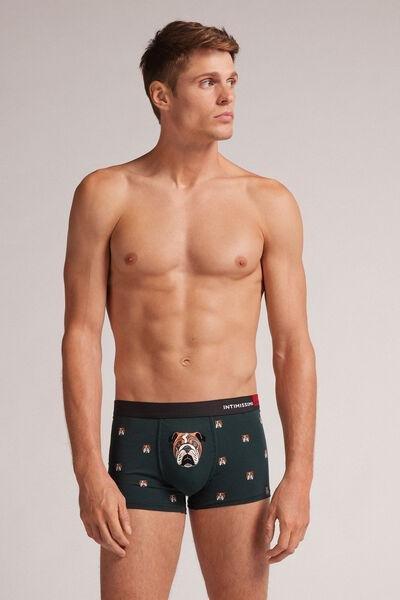 Multicolour Natural Fresh Cotton Bulldog Boxers, , large image number 1