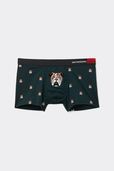 Multicolour Natural Fresh Cotton Bulldog Boxers, , large image number 2