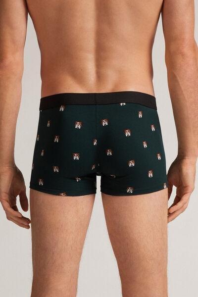 Multicolour Natural Fresh Cotton Bulldog Boxers, , large image number 3