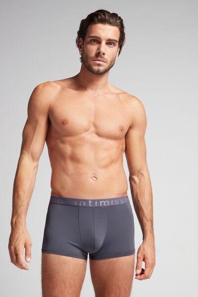 Grey Boxer Microfibre Shorts With Logo, , large image number 1