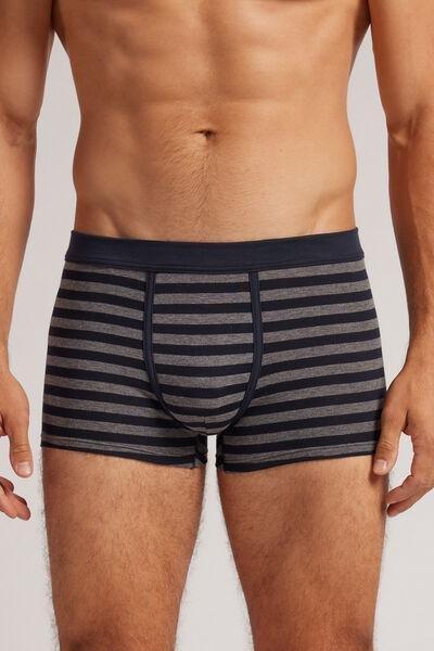 Multicolour Striped Boxer Briefs, , large image number 0
