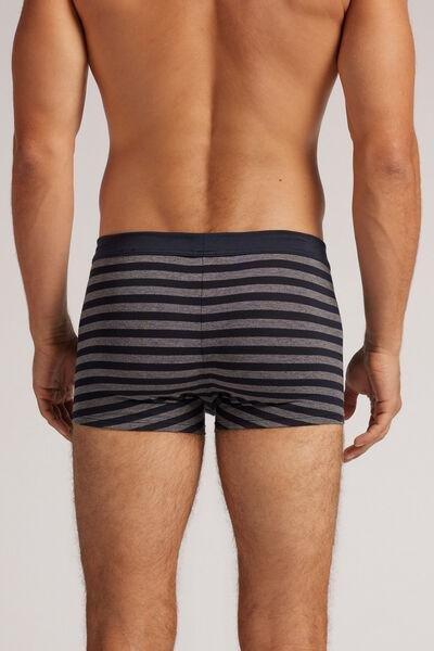 Multicolour Striped Boxer Briefs, , large image number 3