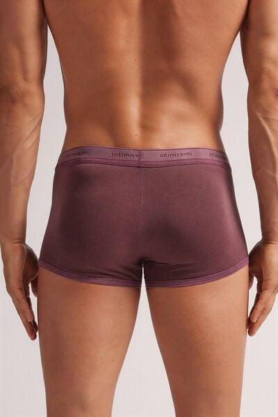 Burgundy Boxer Briefs Collection, B601_691J, large image number 3