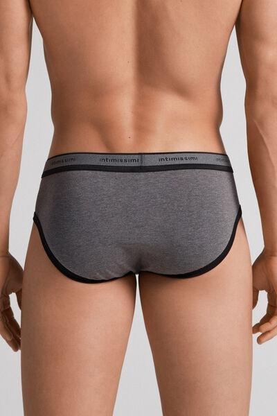 Black Superior Cotton Briefs With Logo, Graphite Grey Blend/black, large image number 3
