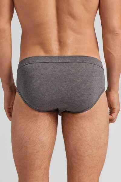 Grey Fresh Cotton Briefs, Graphite Grey Blend, large image number 3