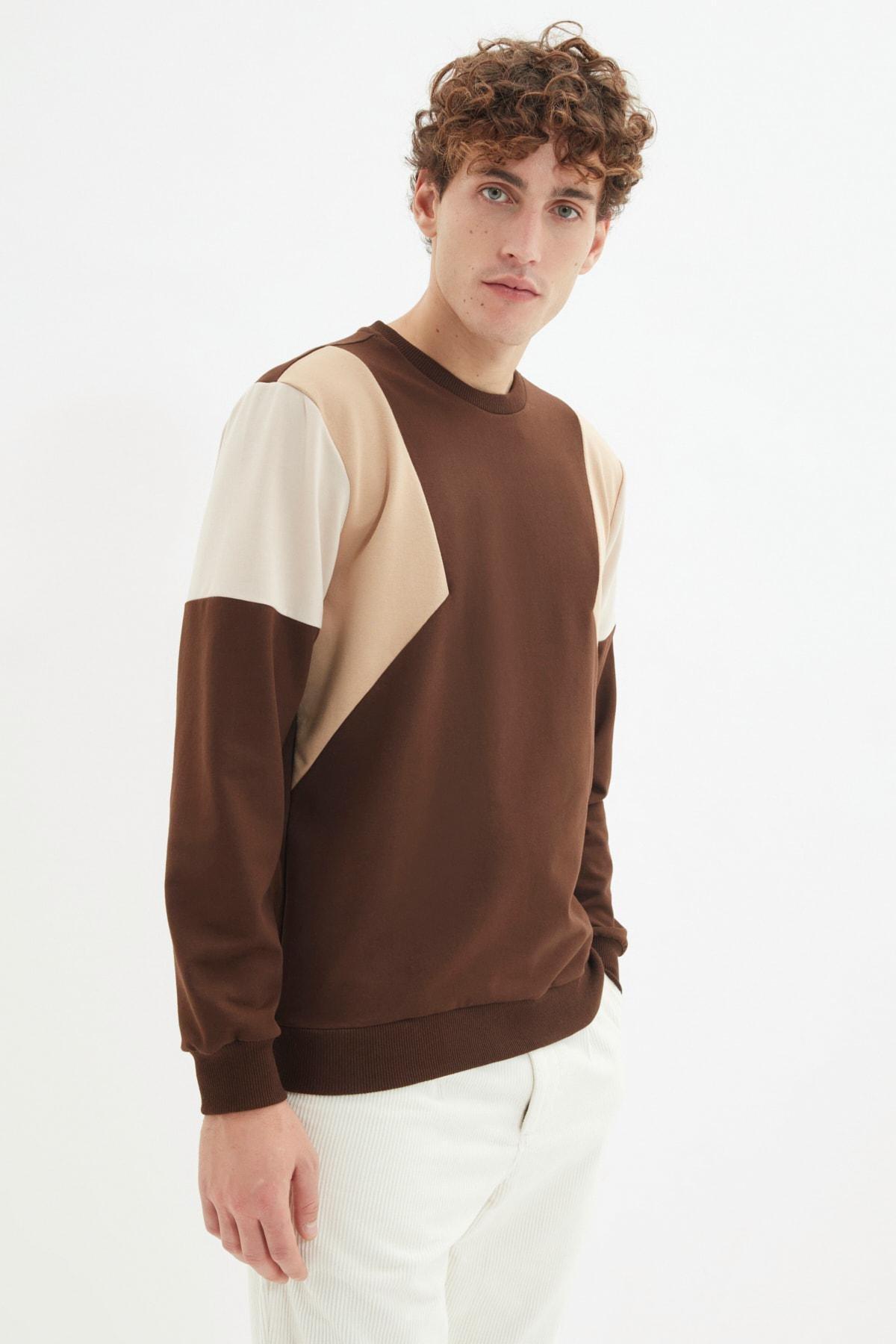 Brown Colour Block Sweatshirt, , large image number 1