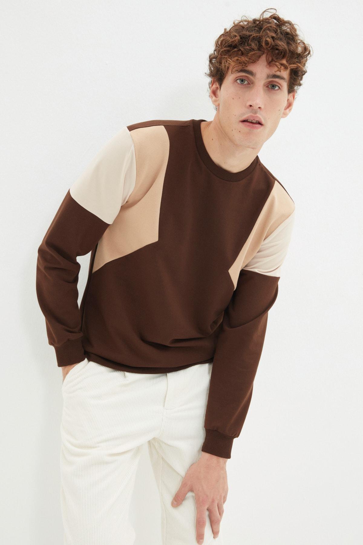 Brown Colour Block Sweatshirt, , large image number 3