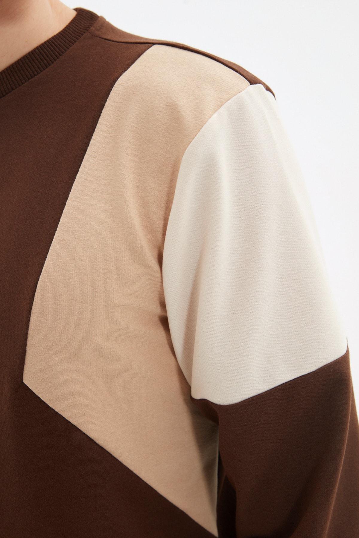 Brown Colour Block Sweatshirt, , large image number 4