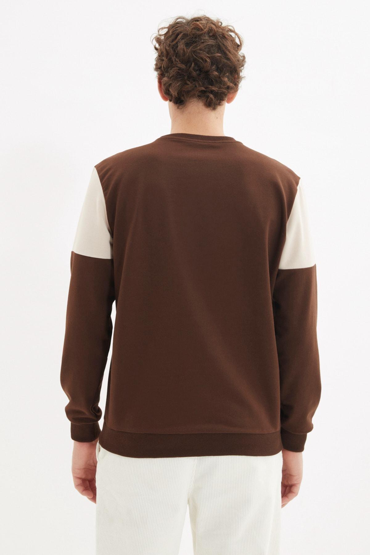 Brown Colour Block Sweatshirt, , large image number 5