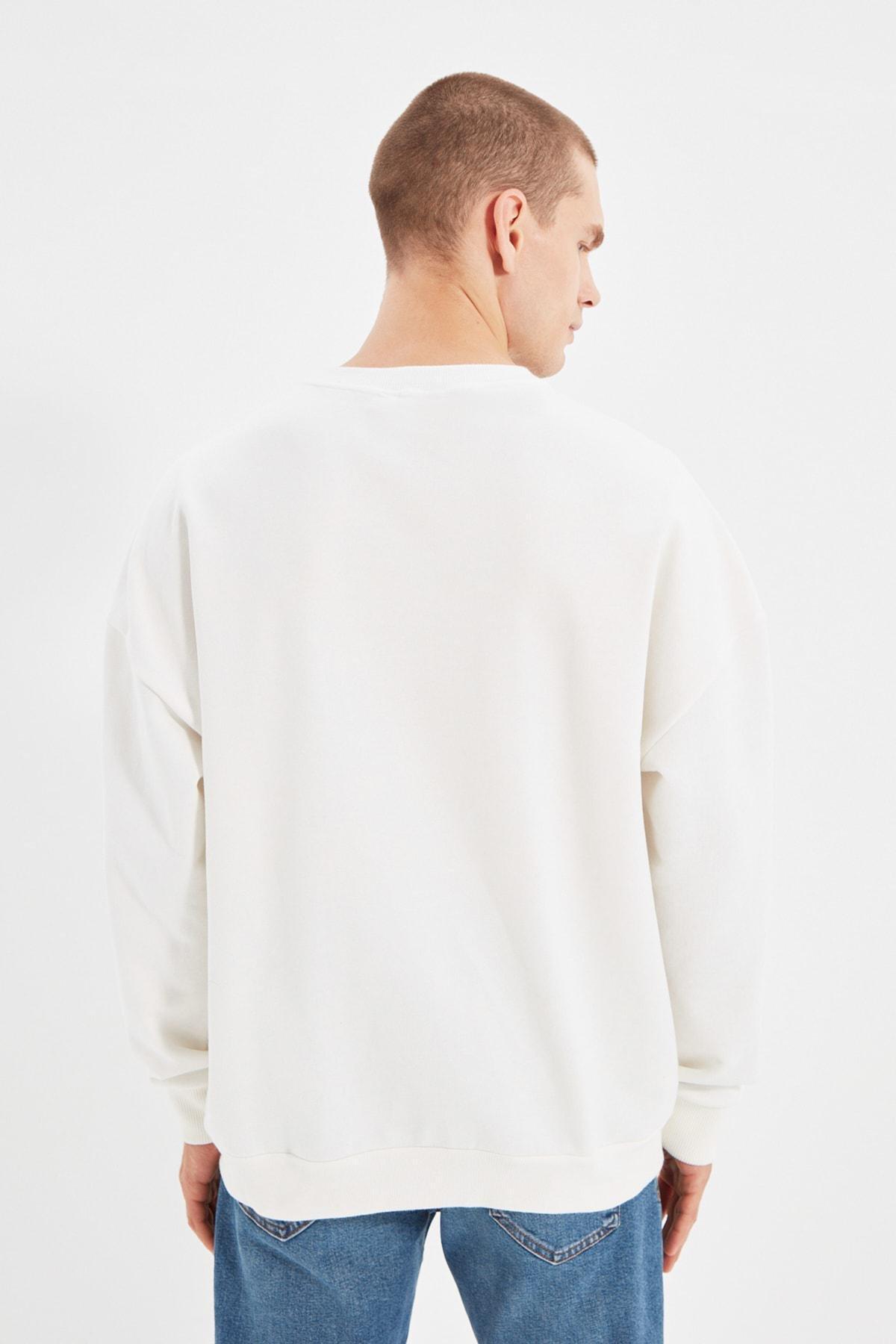 Beige Printed Sweatshirt, , large image number 4