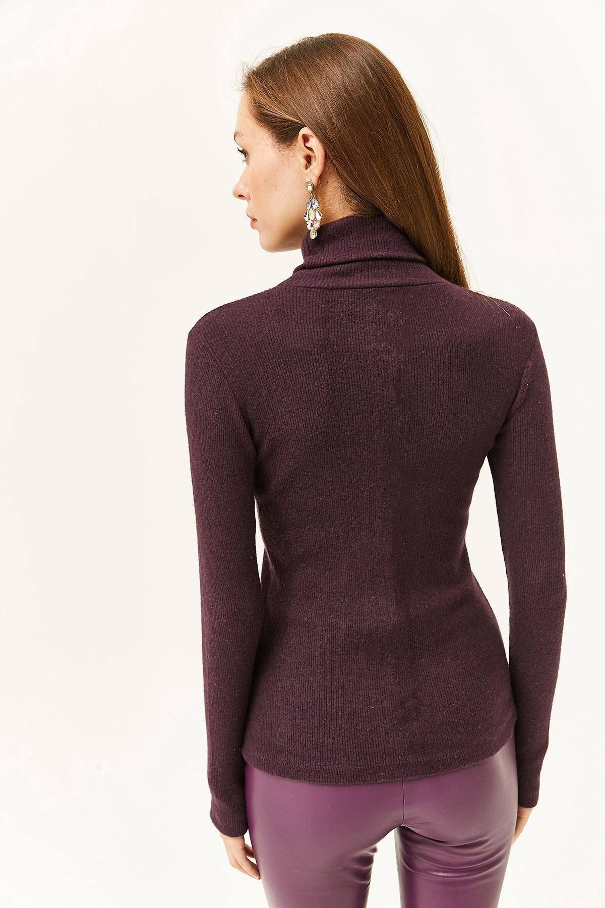Brown Turtleneck Crop Blouse, , large image number 4