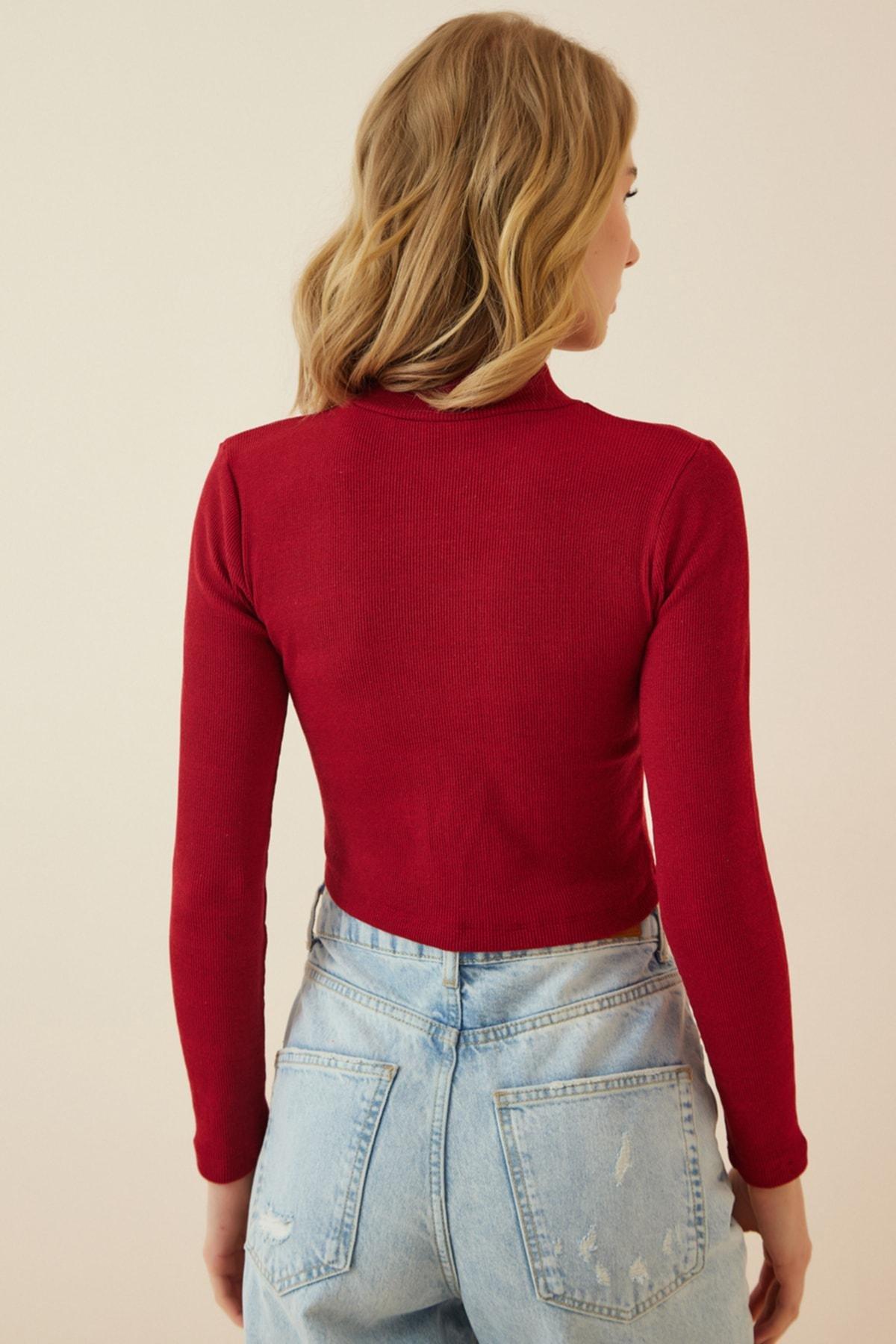 Burgundy High Neck Fitted Blouse, Burgundy, large image number 2