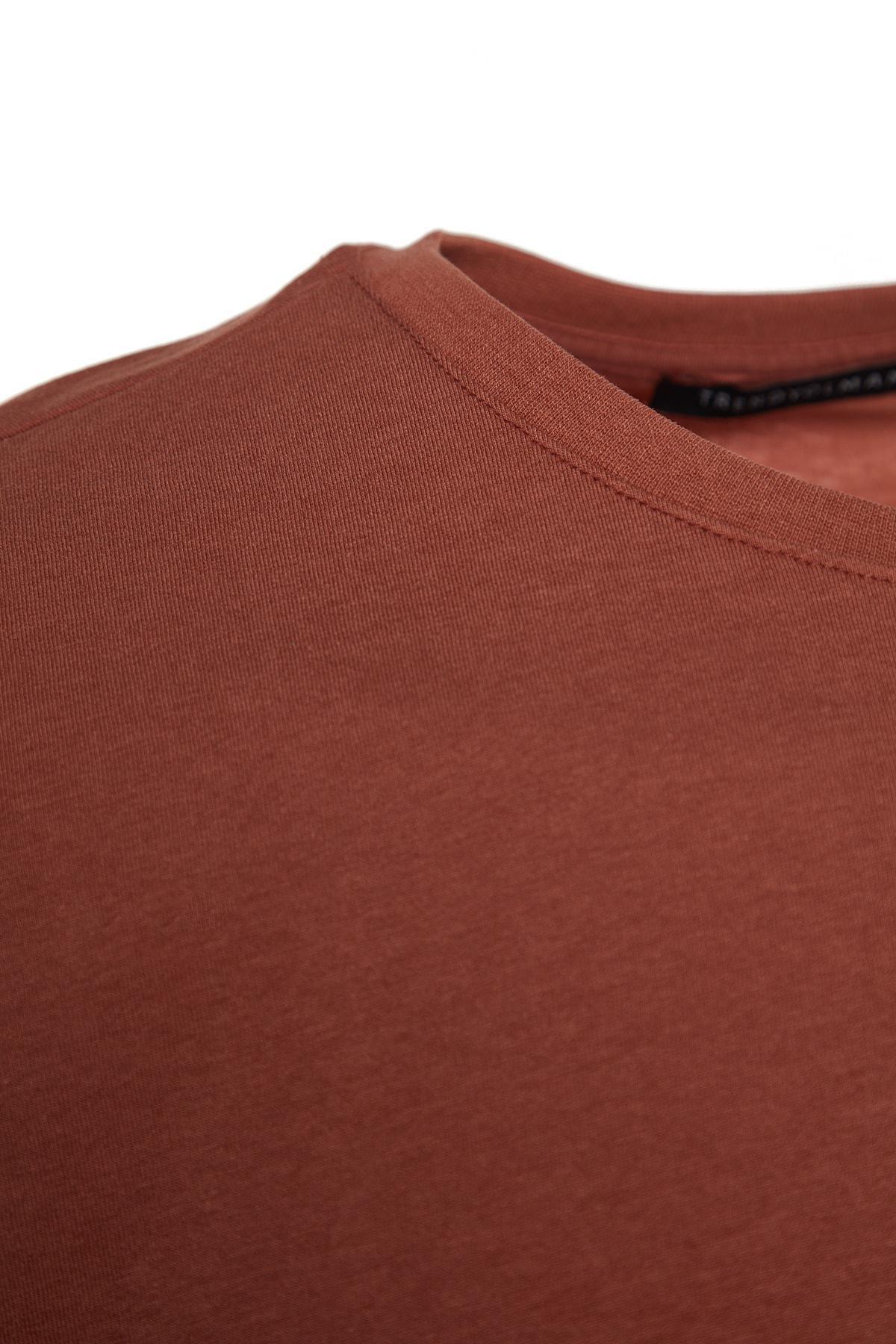 Brown Oversize Crew Neck T-Shirt, , large image number 7