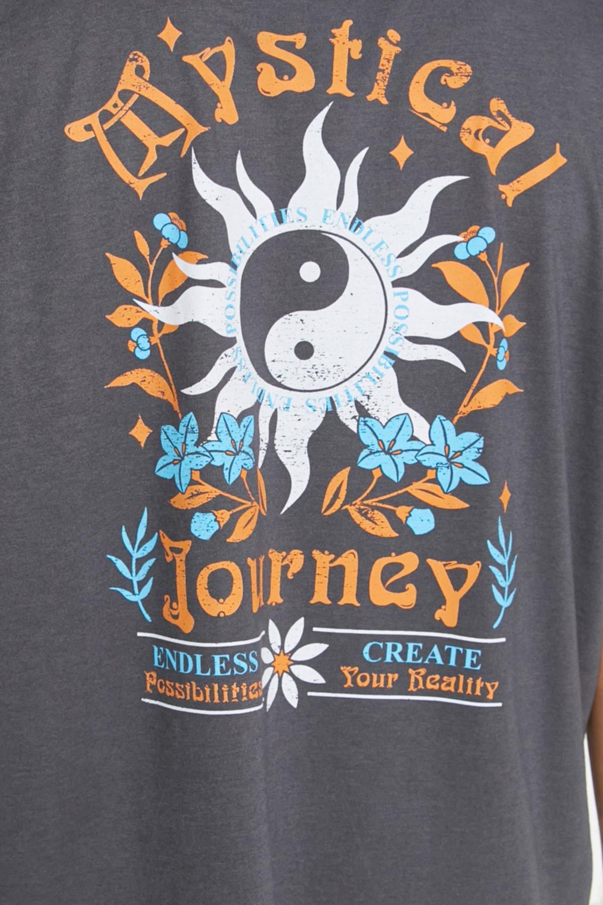 Gray Relaxed T-Shirt, , large image number 2
