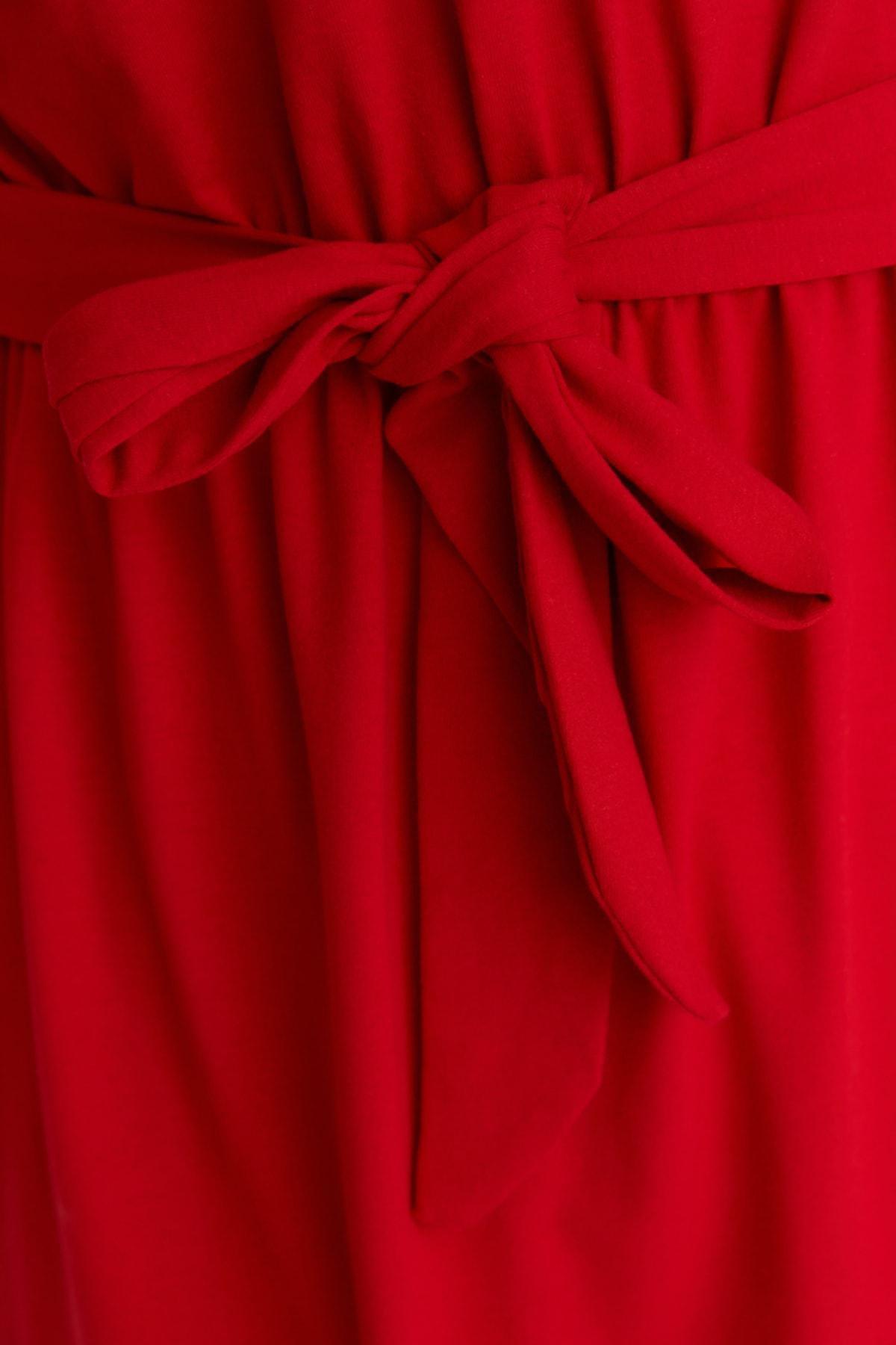 Red A-Line Plus Size Mini Dress, , large image number 3