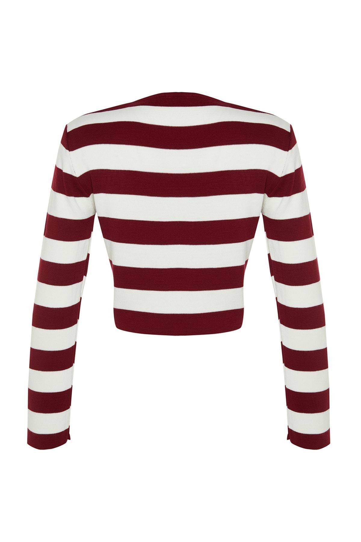 Burgundy Striped Slim Sweater, , large image number 6