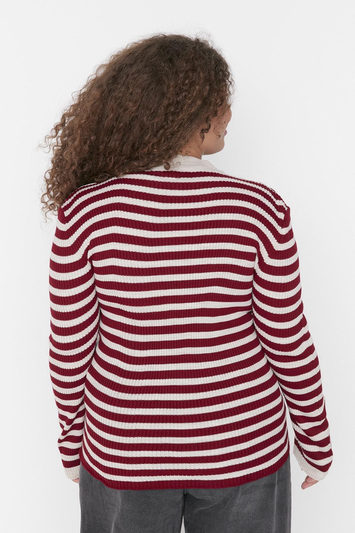 Burgundy Striped Plus Size Sweater, , large image number 4