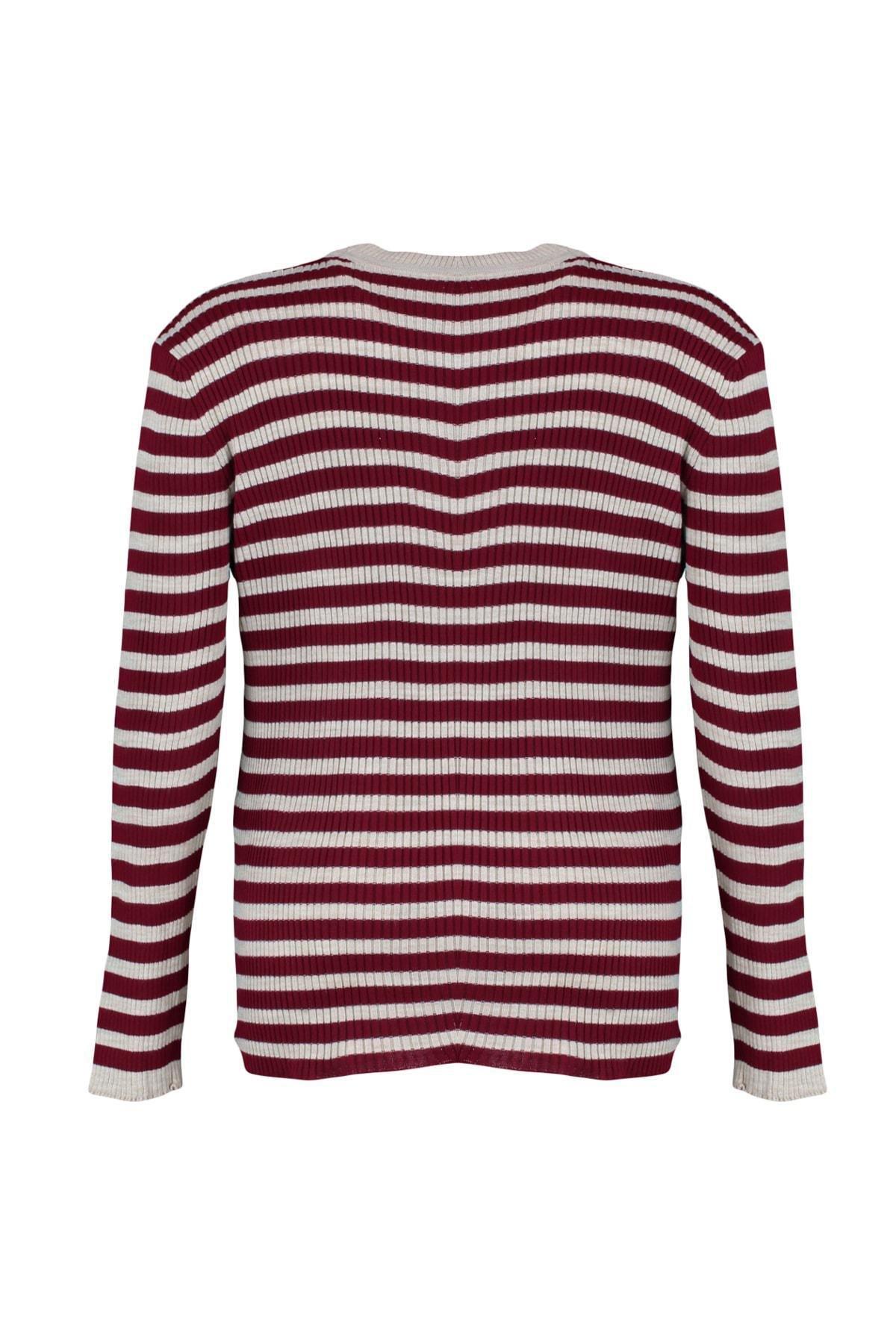 Trendyol - Burgundy Striped Plus Size Sweater