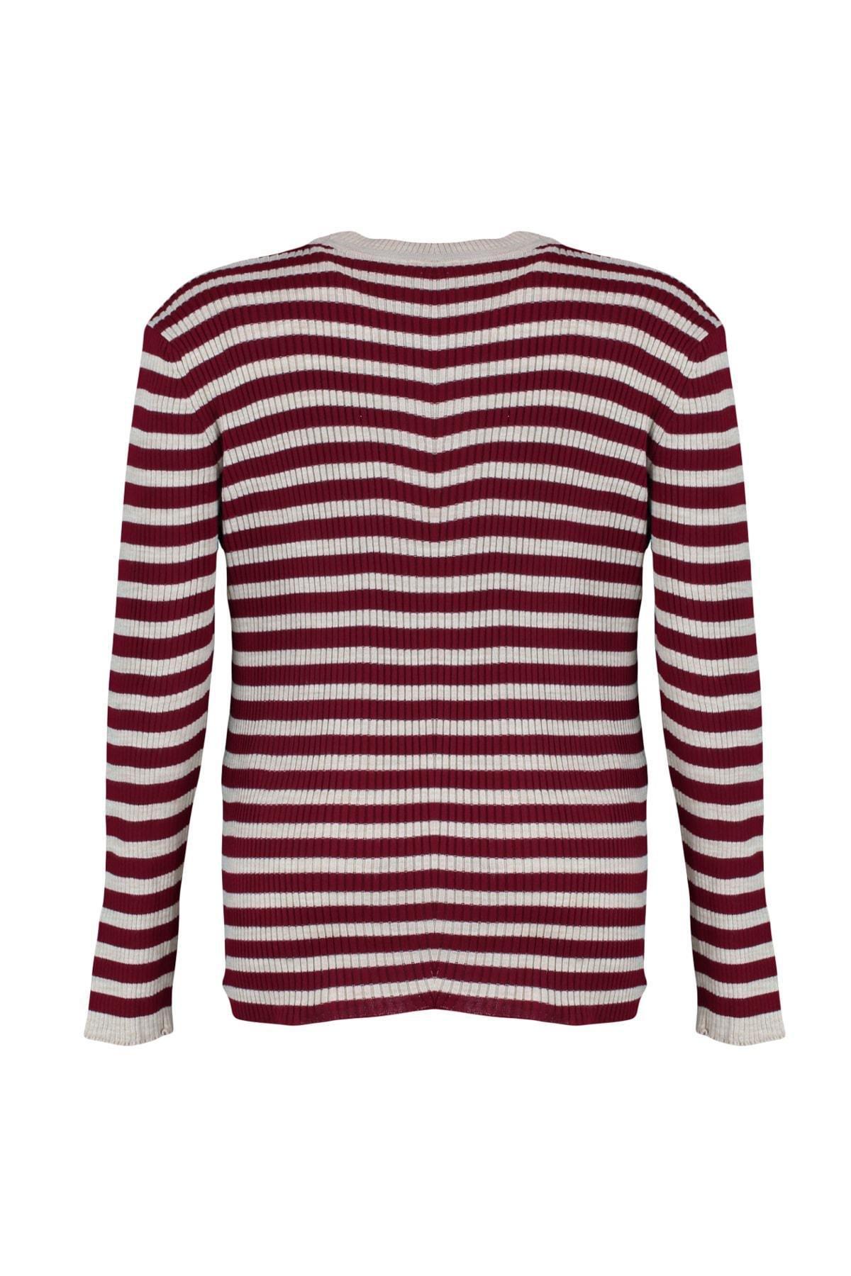 Burgundy Striped Plus Size Sweater, , large image number 5