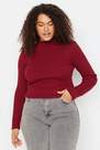 Trendyol - Burgundy High Neck Plus Size Sweater