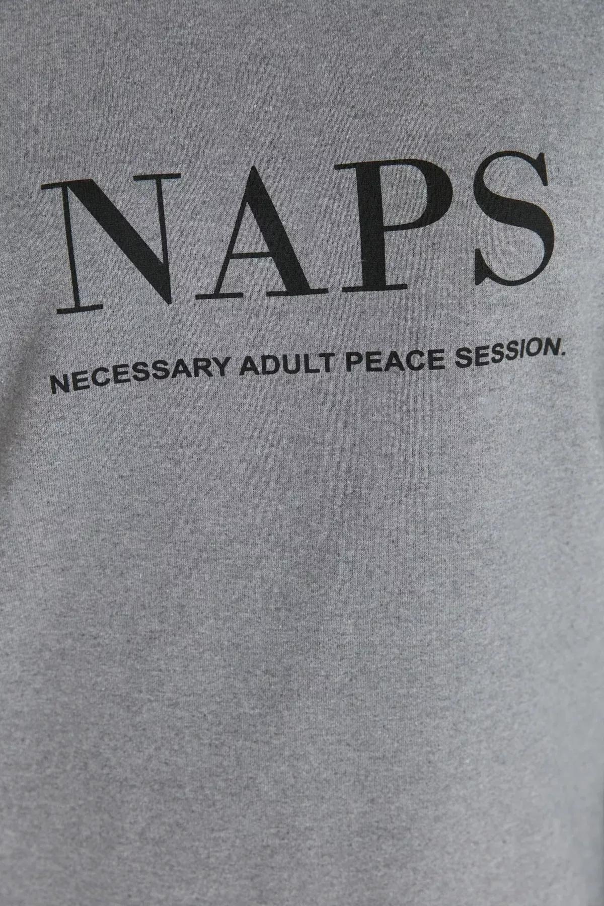 Gray Crew Neck Plus Size Pajama Set, Gray, medium