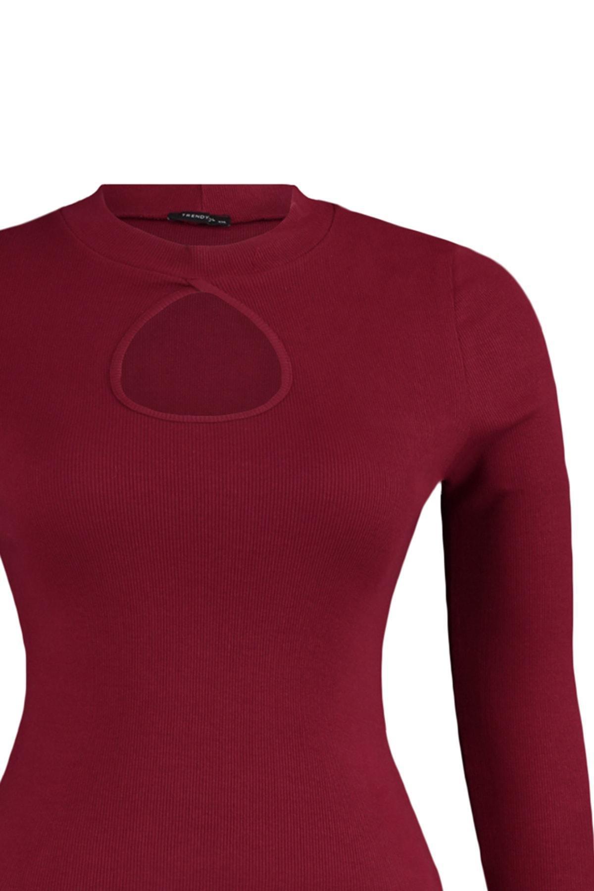 Burgundy Fitted Plus Size Blouse, Burgundy, large image number 7