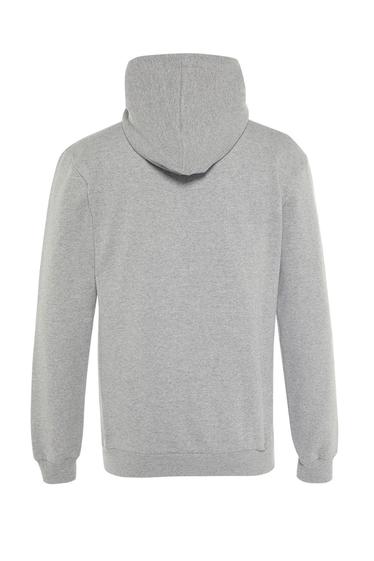 Grey Hooded Graphic Sweatshirt, , large image number 6
