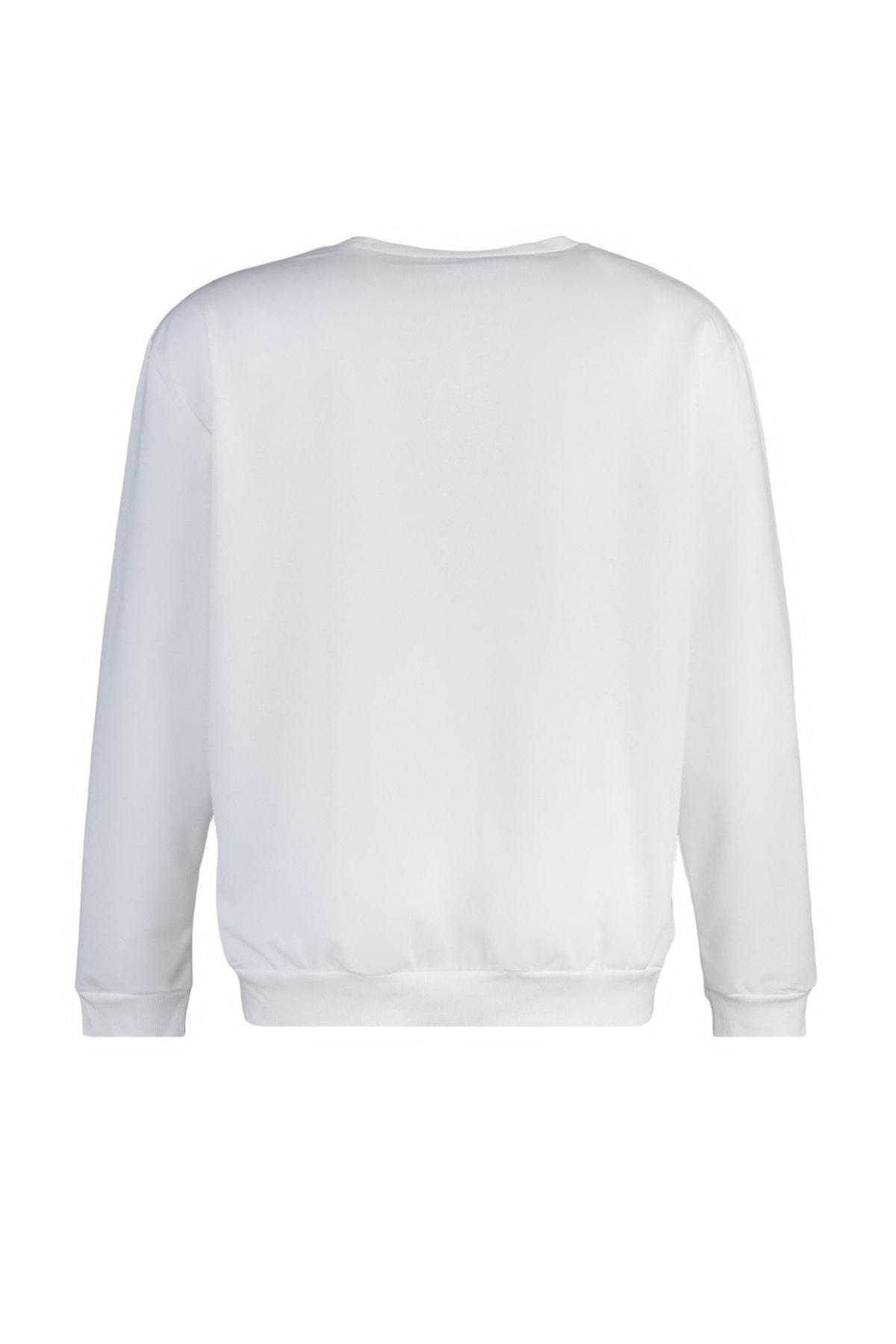 Beige Oversize Crew Neck Plus Size Sweatshirt, , large image number 7