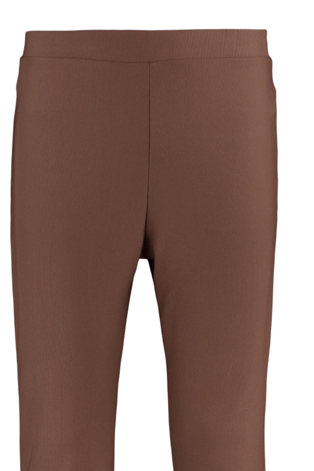 Brown Slim High Waist Plus Size Pants, , large image number 7