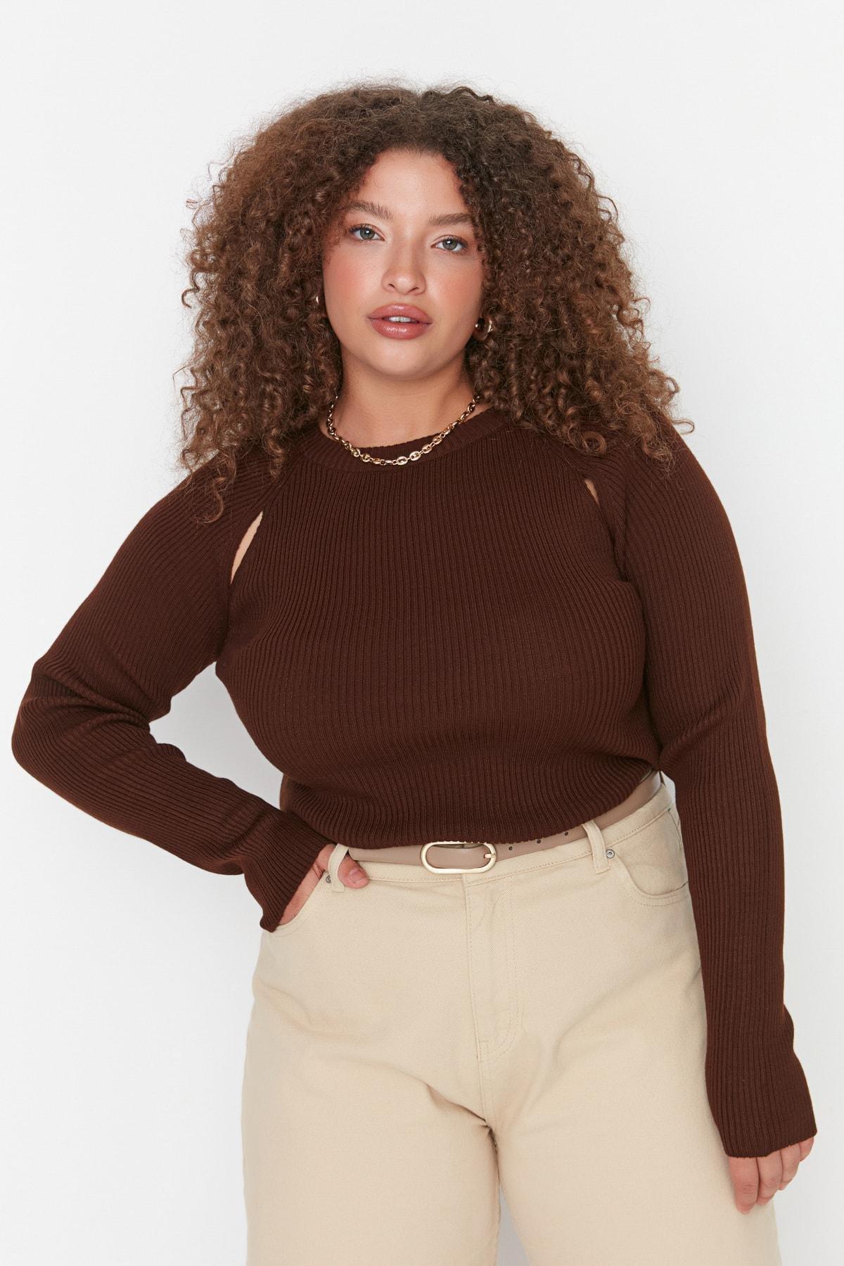 Brown Crew Neck Plus Size Sweater, Brown, large image number 0