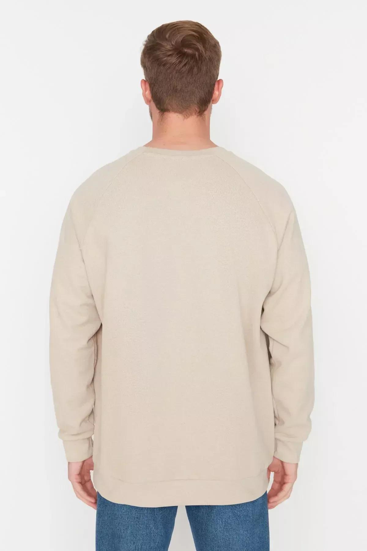 Beige Crew Neck Sweatshirt, , large image number 4