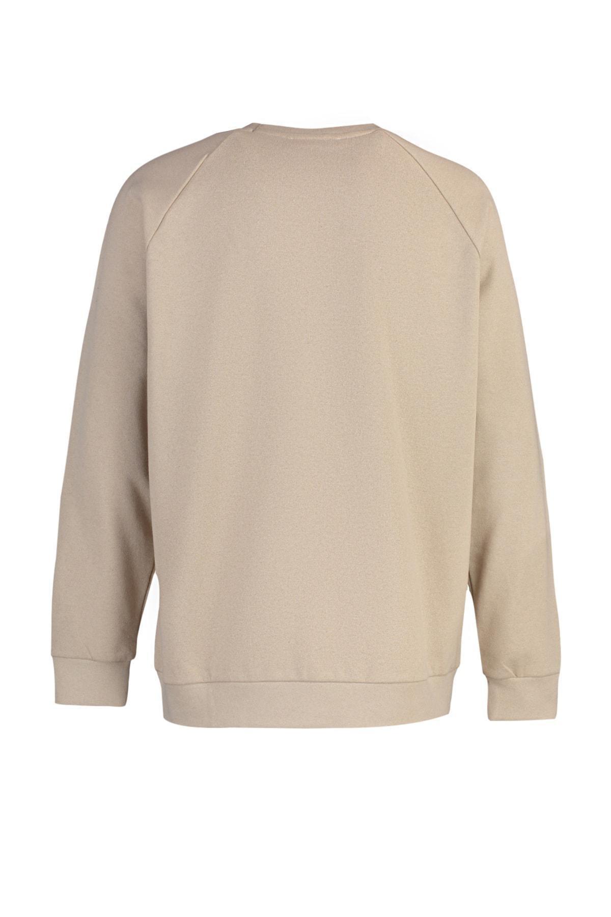 Beige Crew Neck Sweatshirt, , large image number 8