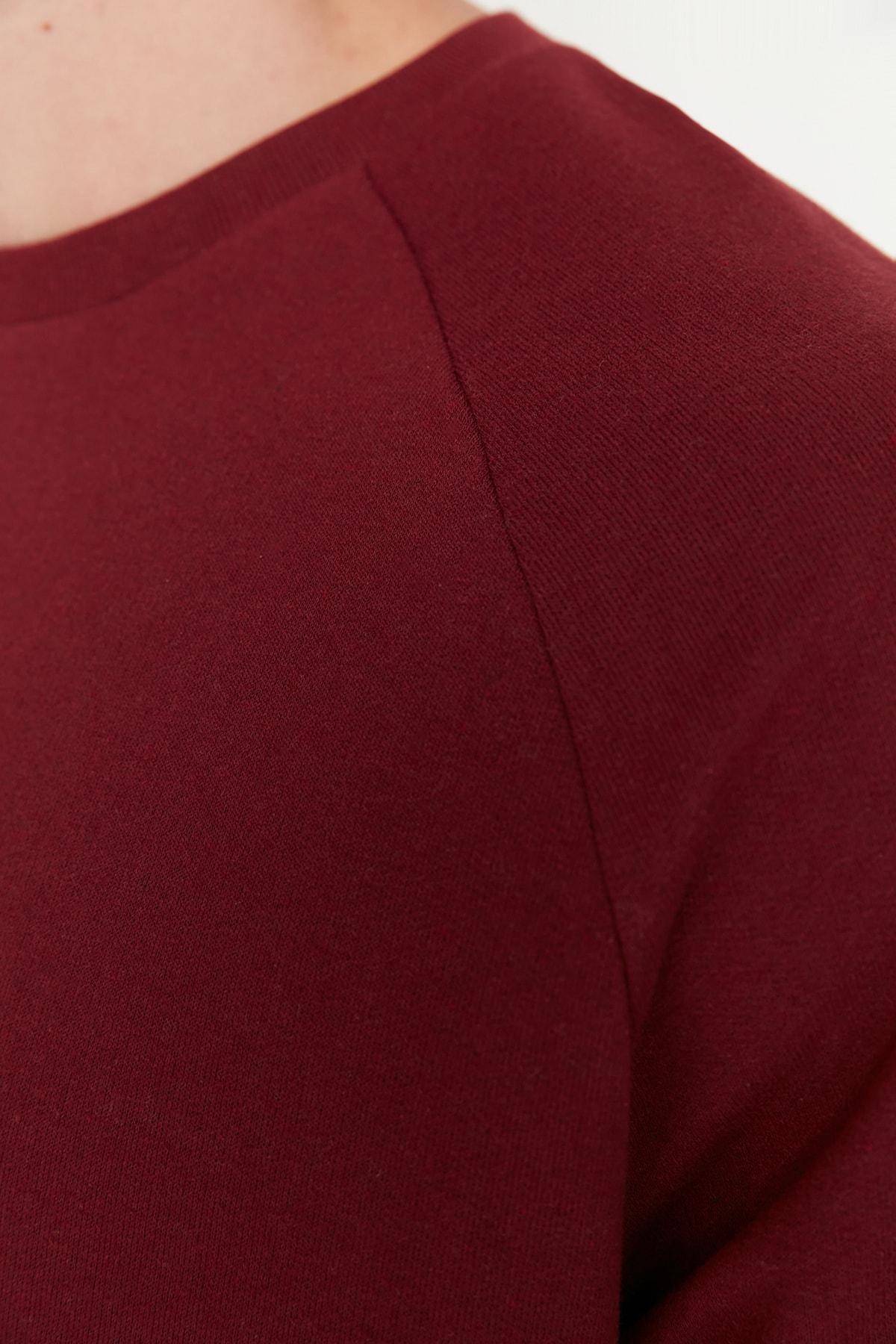 Burgundy Raglan Sleeve Sweatshirt, , large image number 3