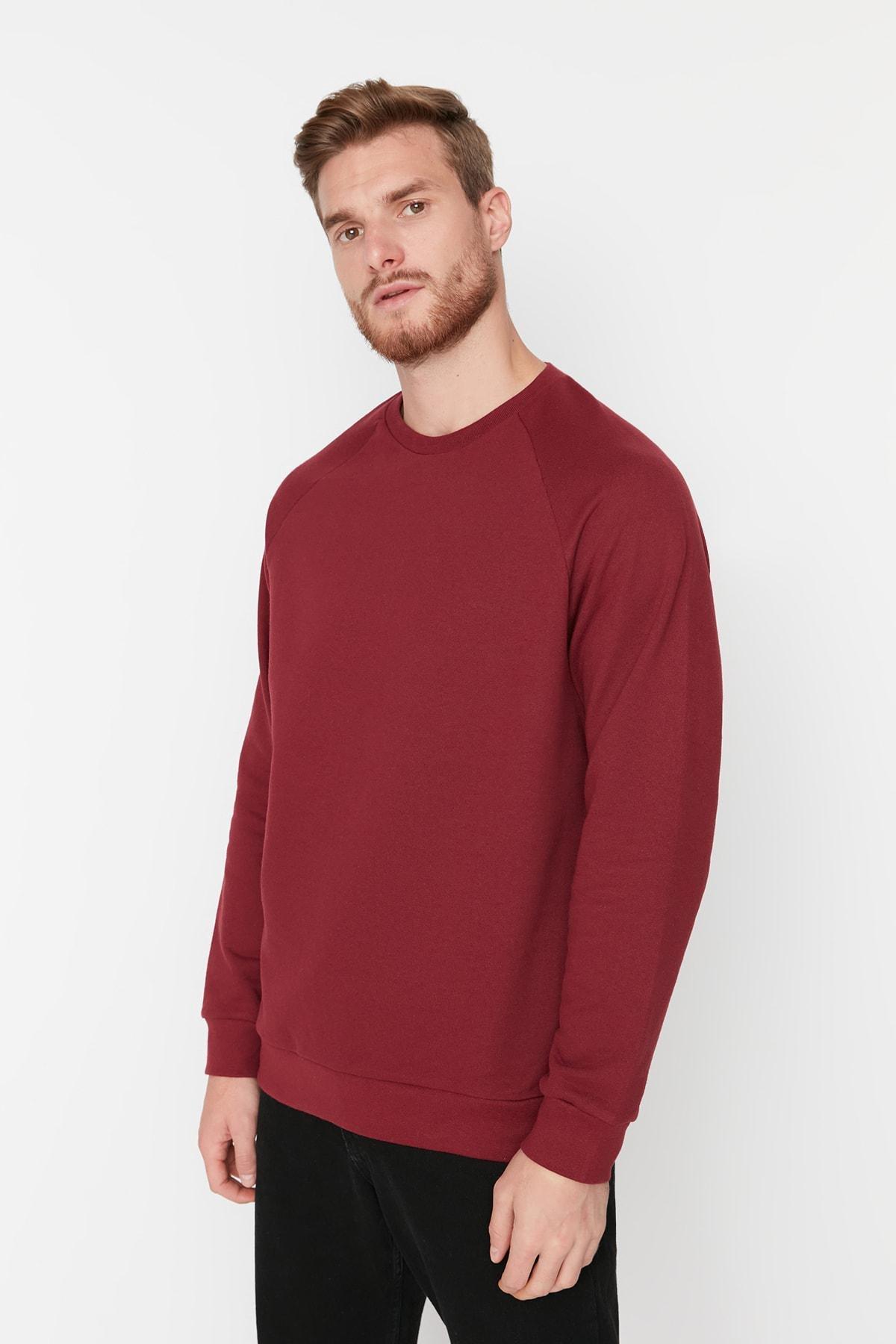 Burgundy Raglan Sleeve Sweatshirt, , large image number 4