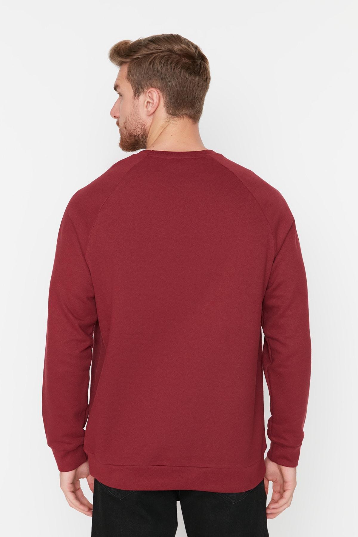 Burgundy Raglan Sleeve Sweatshirt, , large image number 5