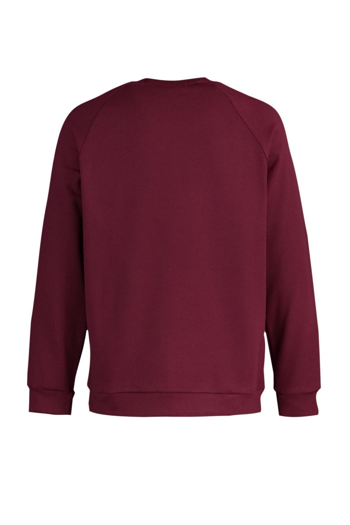 Burgundy Raglan Sleeve Sweatshirt, , large image number 8