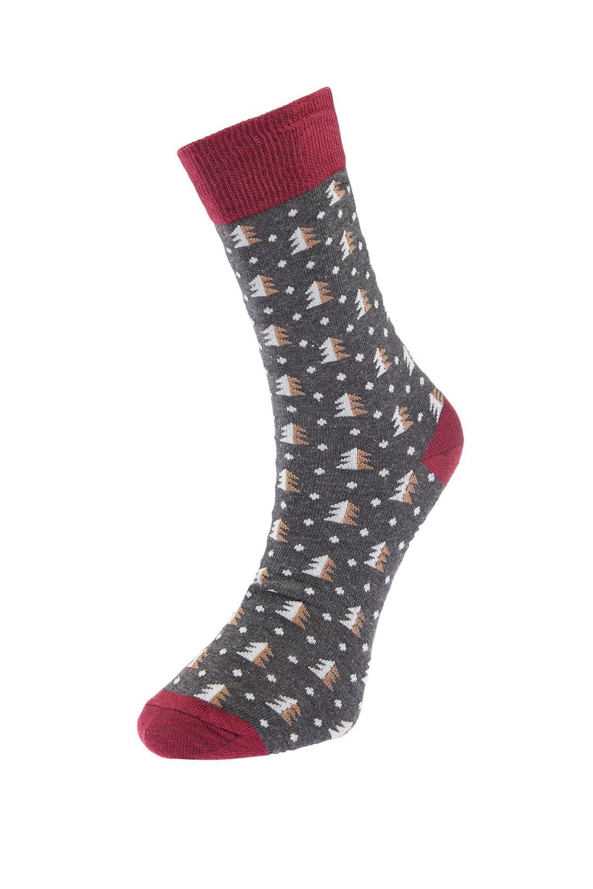 Multicolour Socks , Set Of 3, Multicolor, large image number 5