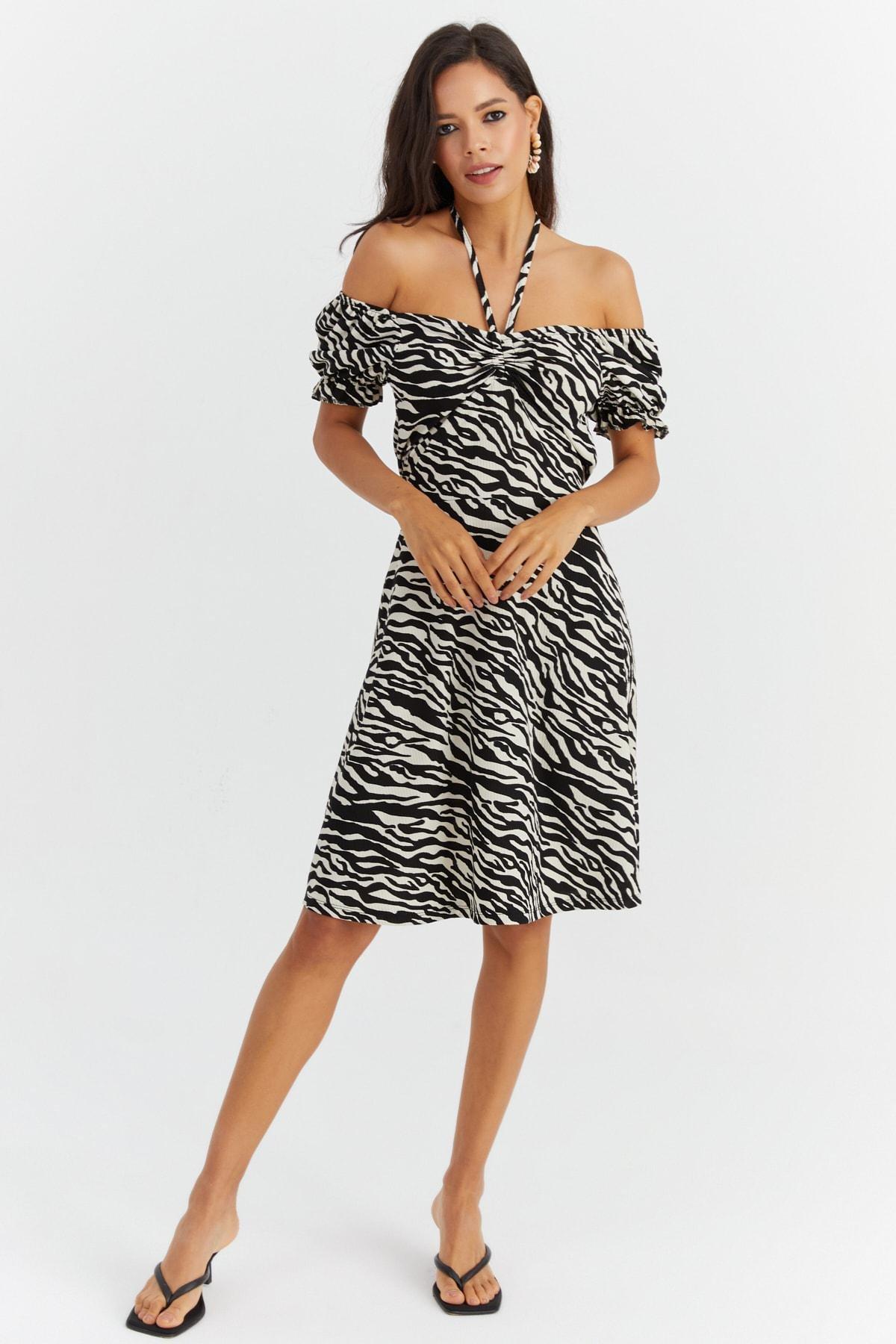 Multicolour Animal Print Skater Dress, , large image number 1