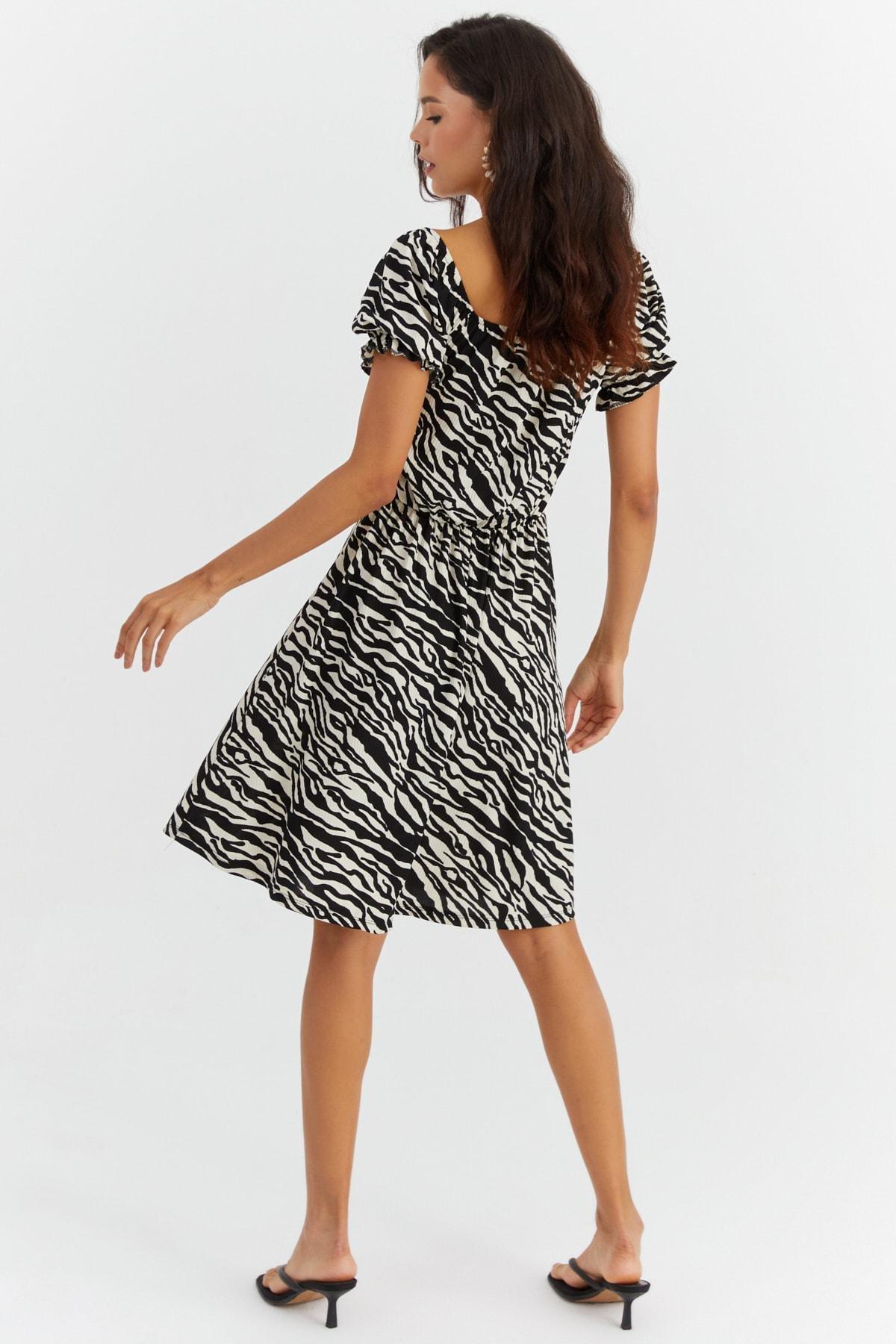 Multicolour Animal Print Skater Dress, , large image number 2