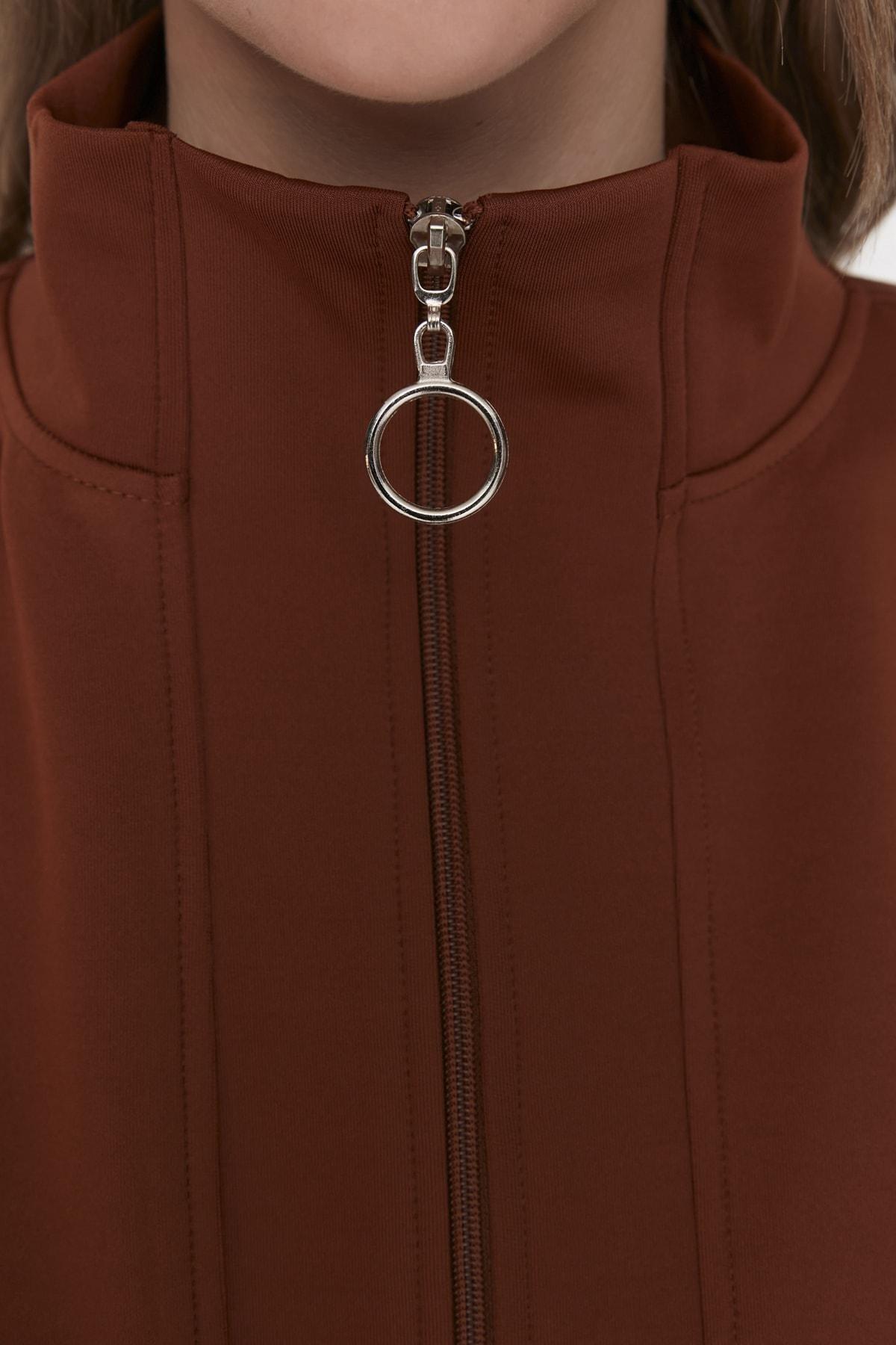 Sweatshirt - Brown - Regular fit, , large image number 5