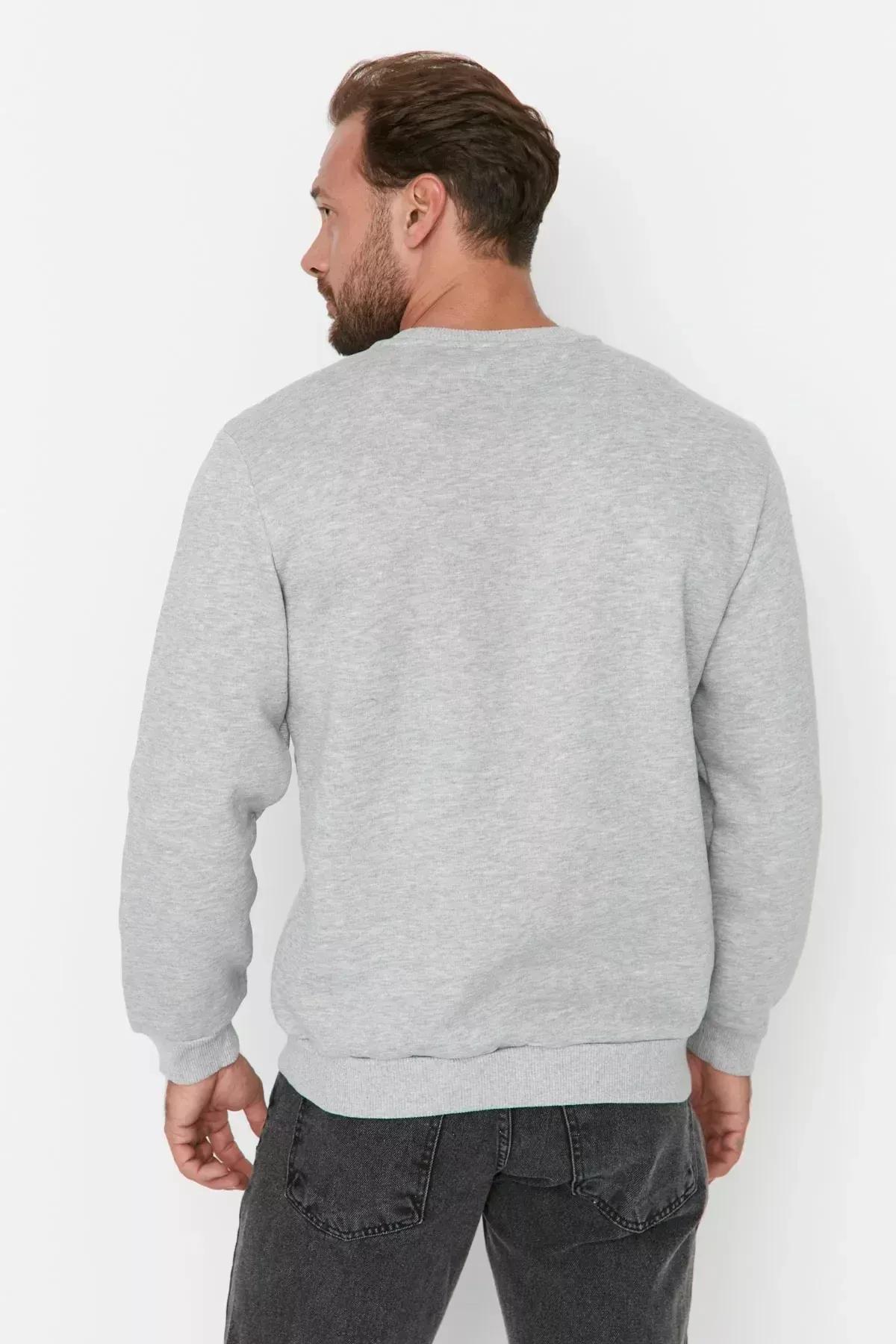 Grey Printed Crew Neck Sweatshirt, , large image number 4
