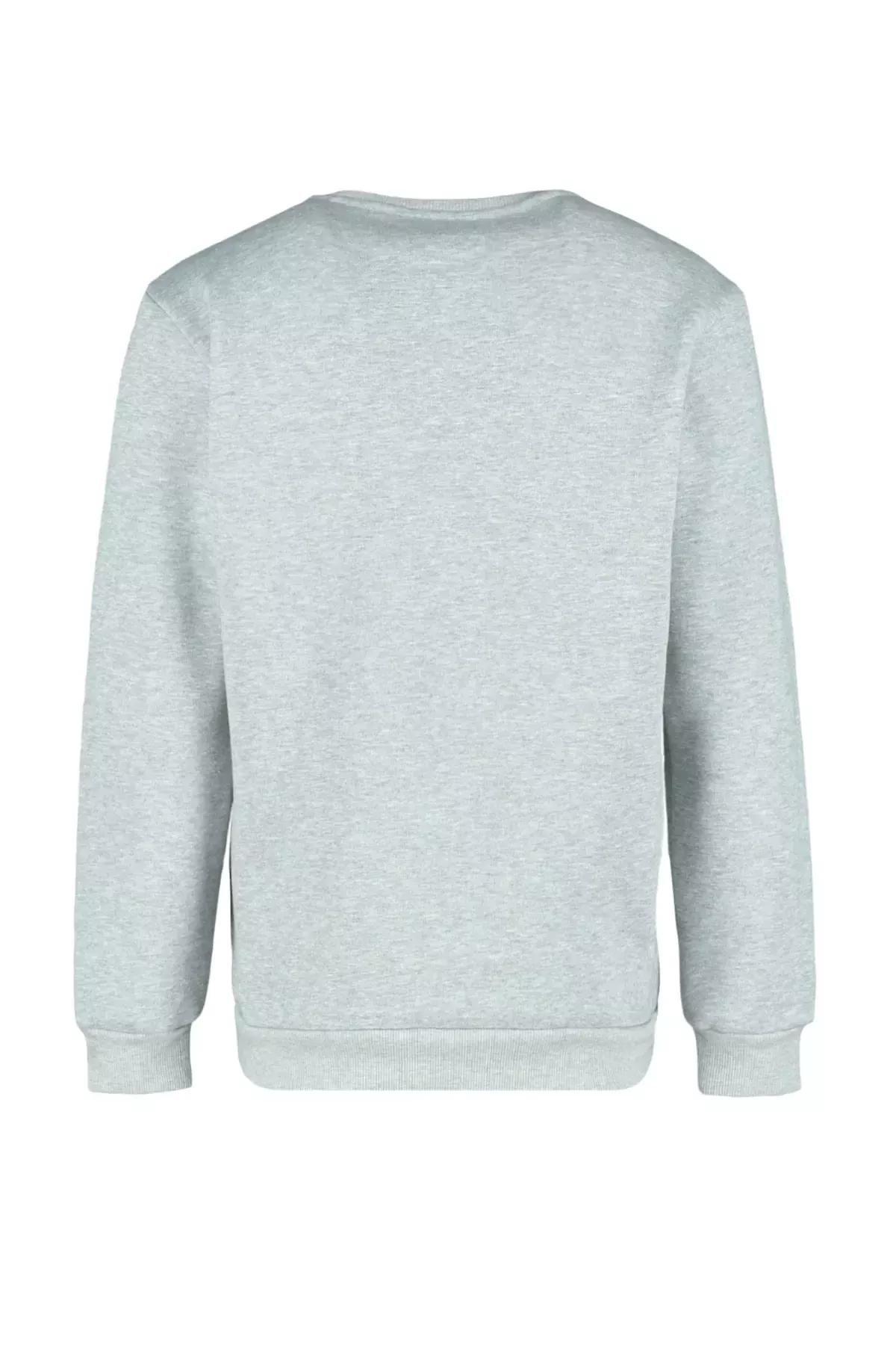 Grey Printed Crew Neck Sweatshirt, , large image number 6
