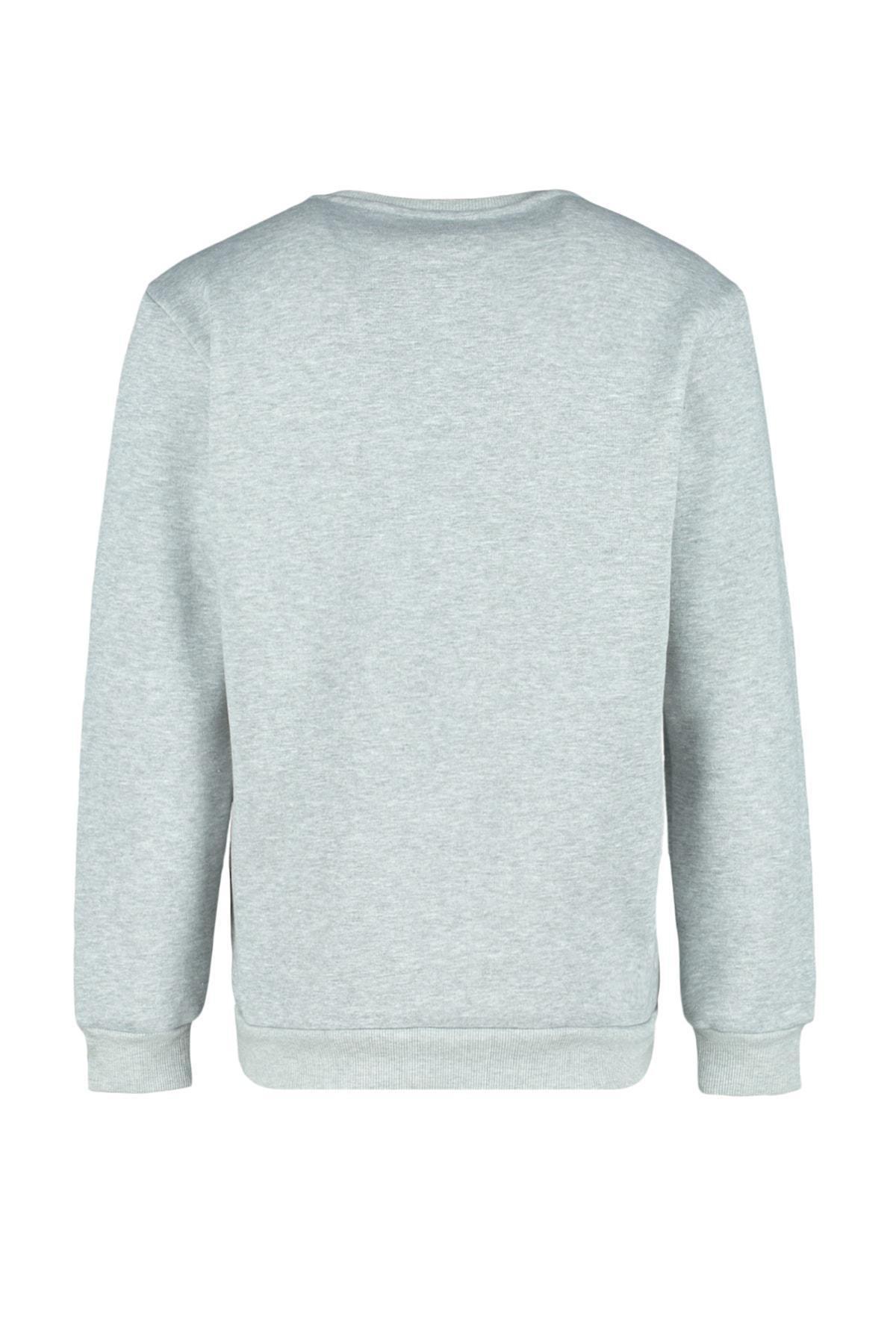 Grey Printed Crew Neck Sweatshirt, , large image number 8