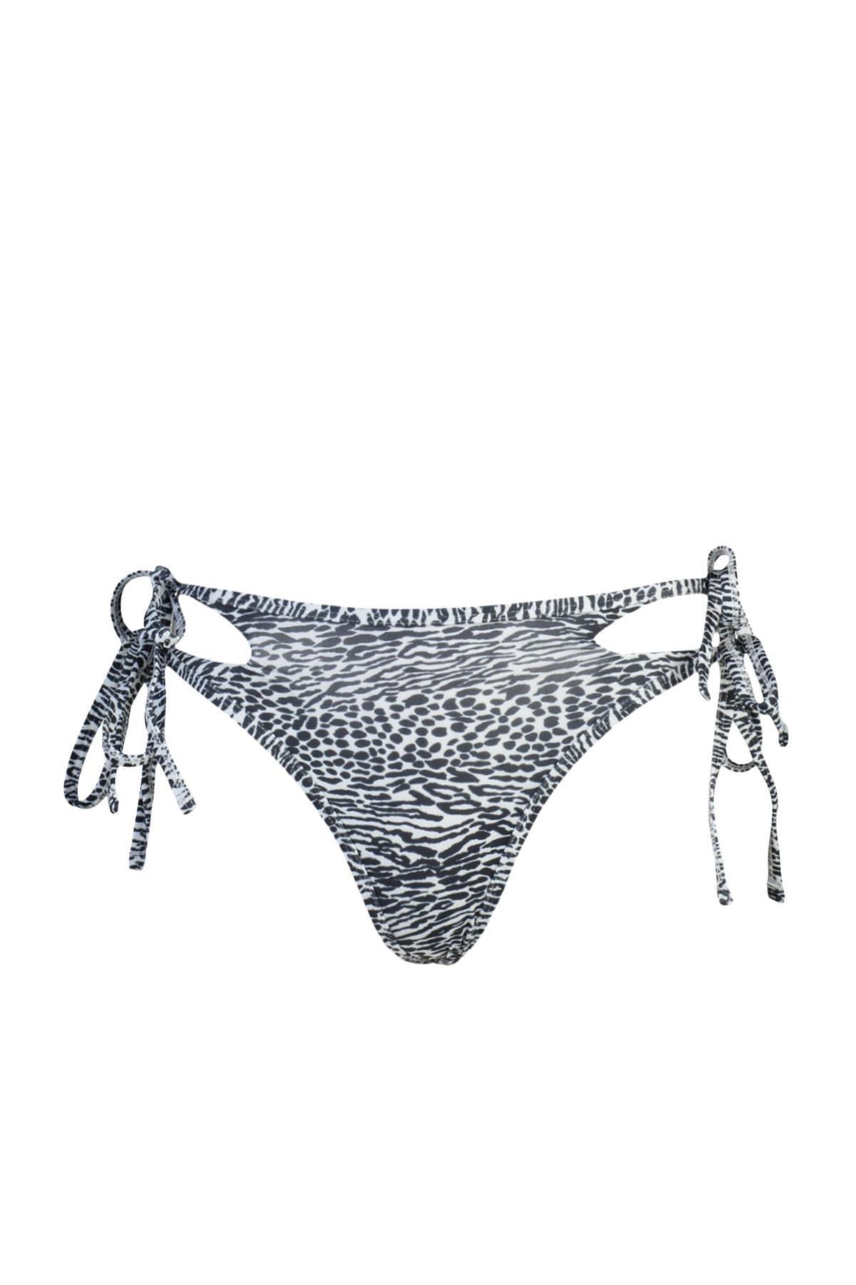 Brown Animal Pattern Bikini Bottoms, Multicolor, large image number 15