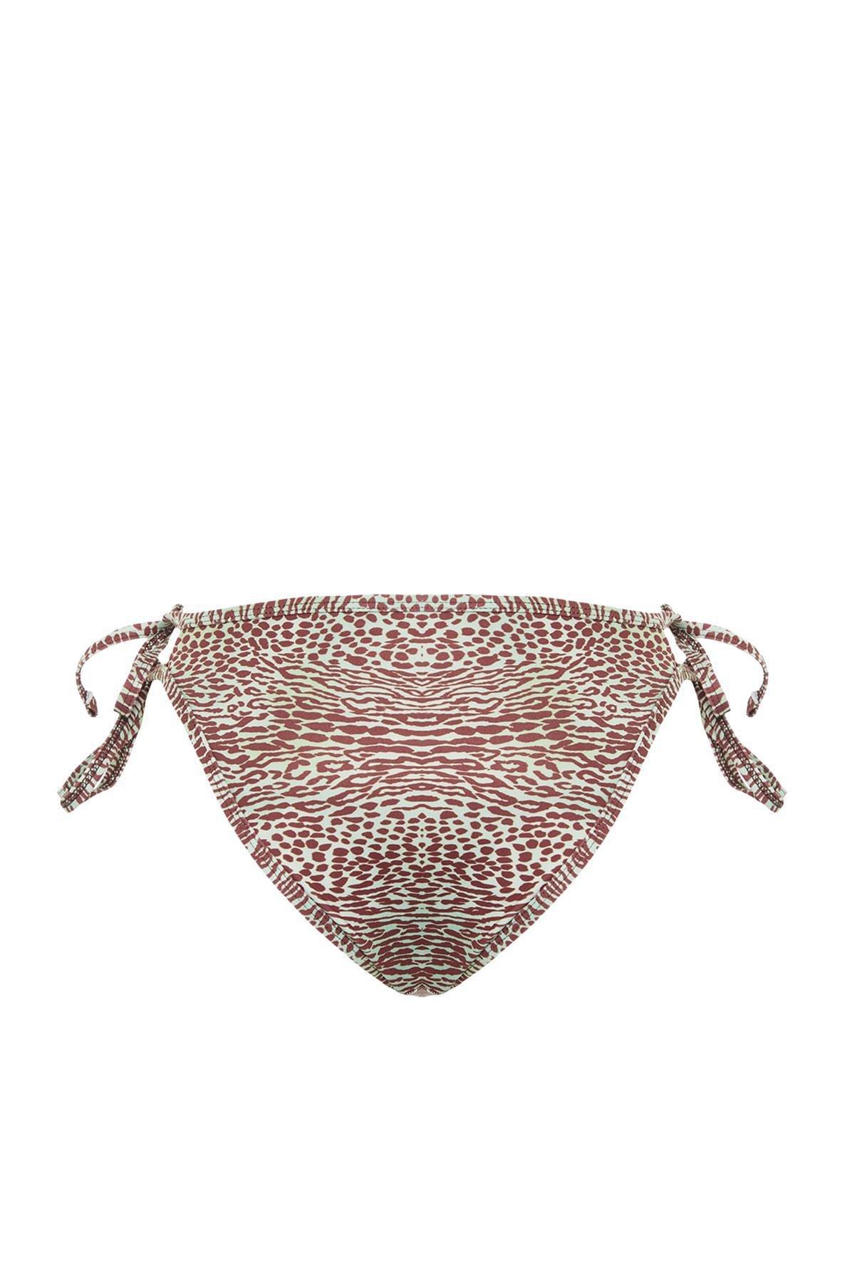 Brown Animal Pattern Bikini Bottoms, Multicolor, large image number 16