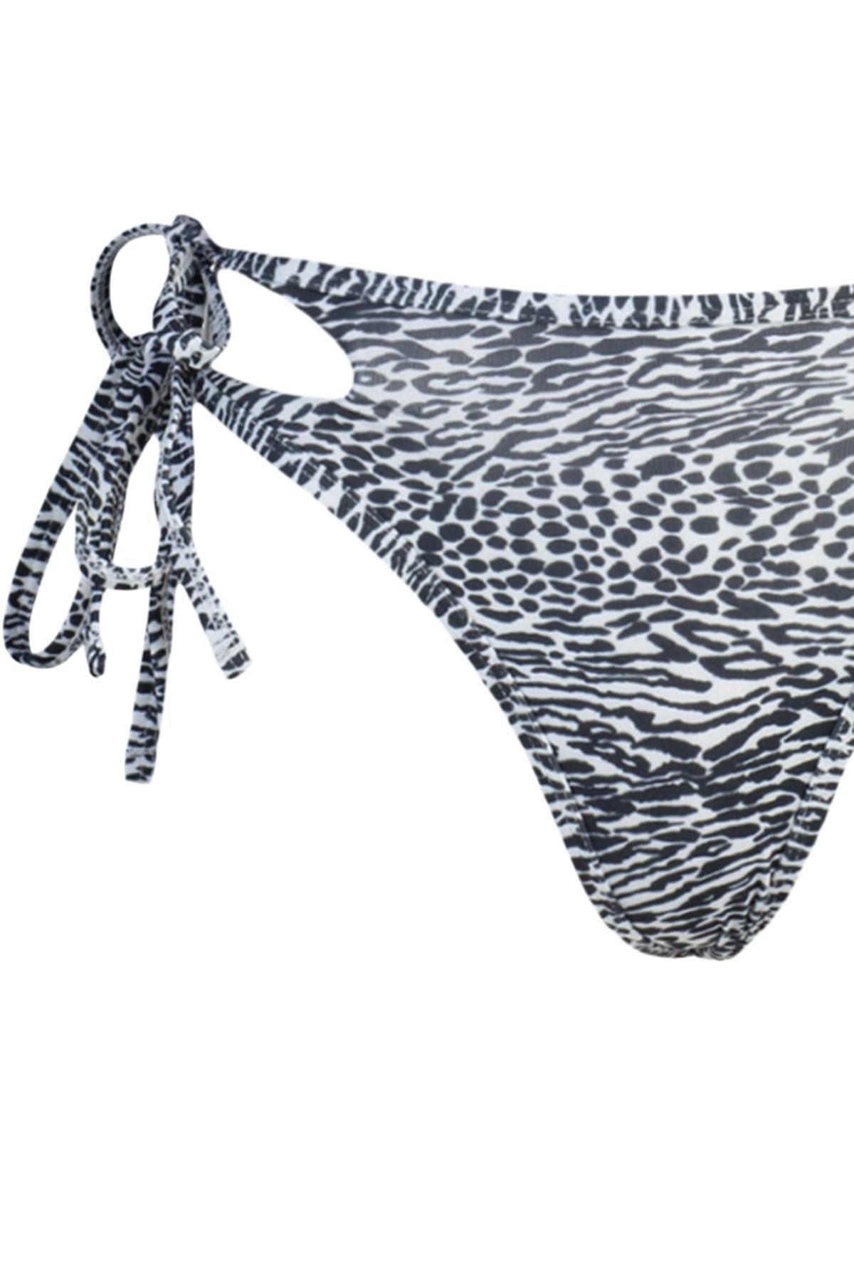 Brown Animal Pattern Bikini Bottoms, Multicolor, large image number 17