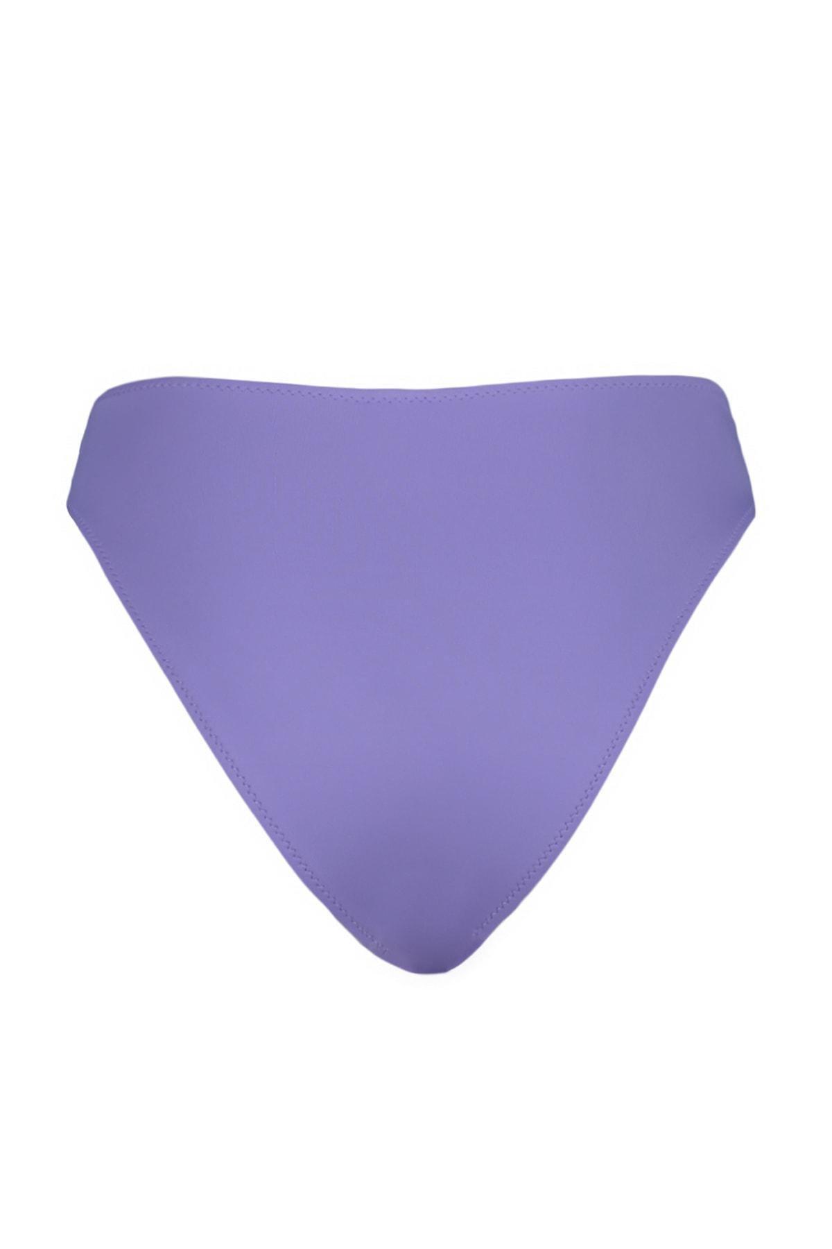 Purple High Waist Bikini Bottom, , large image number 8